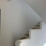 Vagos 1