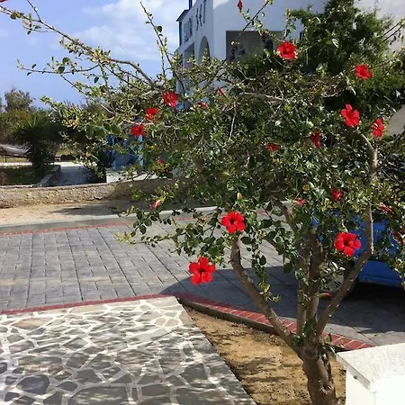 Vagos 1 Apartment Agios Prokopios (Naxos)
